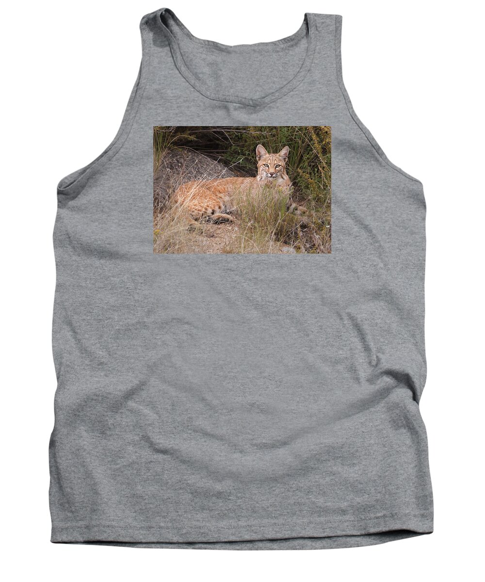 Wild Animal Tank Top featuring the photograph Bobcat at Rest by Alan Toepfer