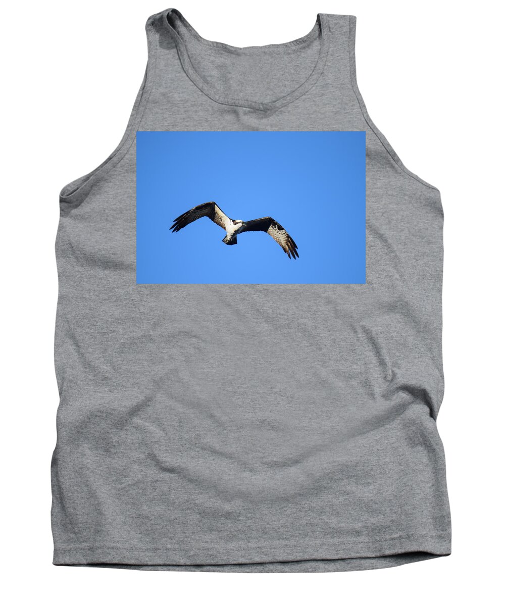 Osprey Tank Top featuring the photograph Osprey Burgess Res Divide CO by Margarethe Binkley
