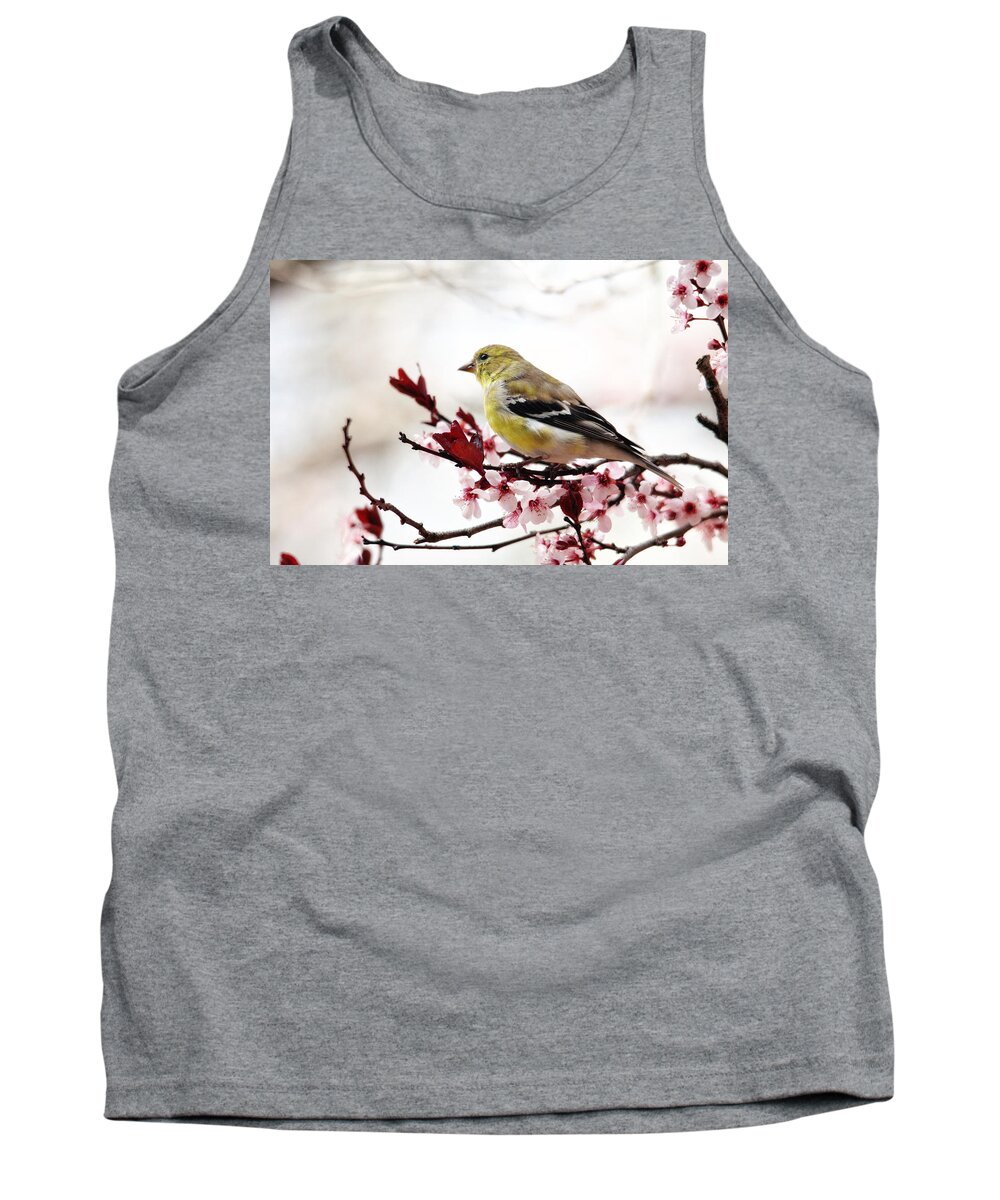 Birds Tank Top featuring the photograph American Goldfinch in Spring by Trina Ansel