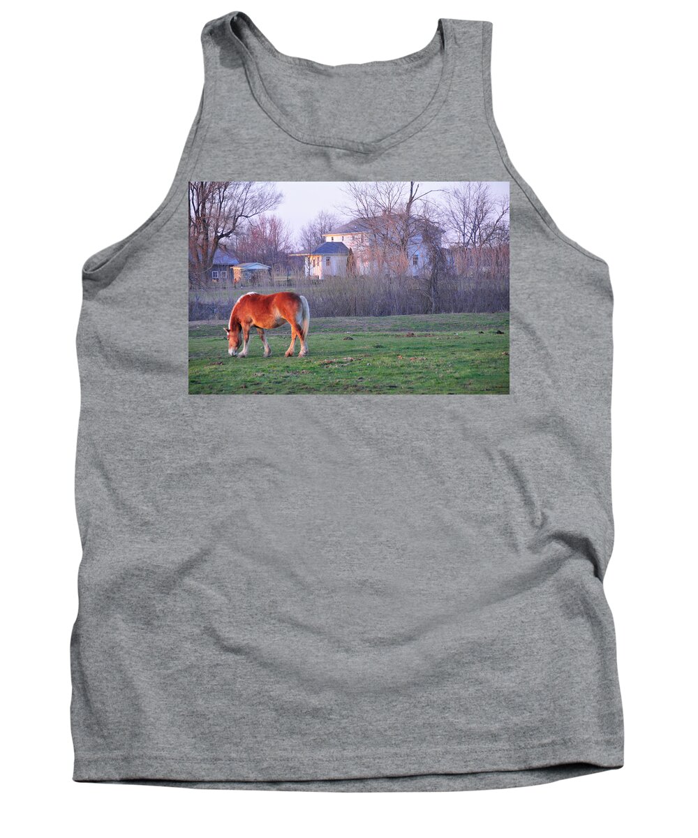 Horse Tank Top featuring the photograph Amish Afternoon #1 by David Arment