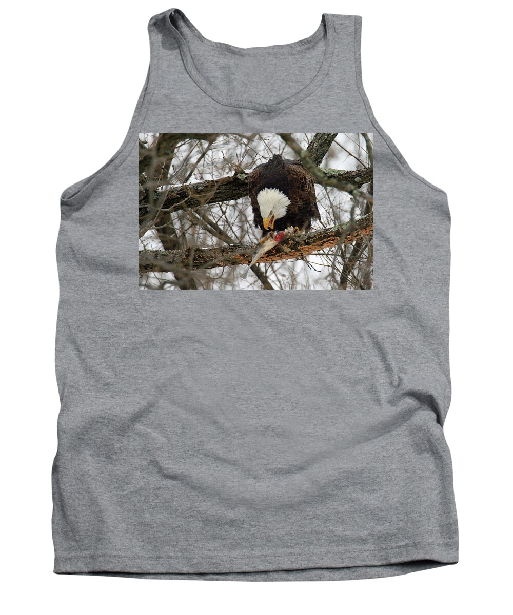 Bald Eagle Tank Top featuring the photograph An Eagles Meal #1 by Brook Burling