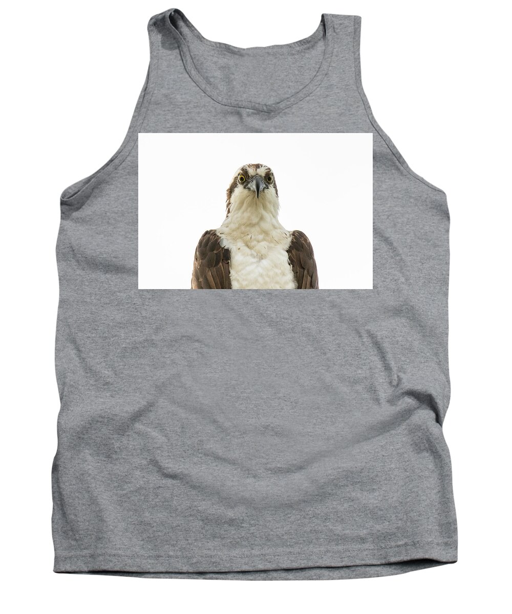Osprey Tank Top featuring the photograph An Osprey's Stare #1 by Tony Hake
