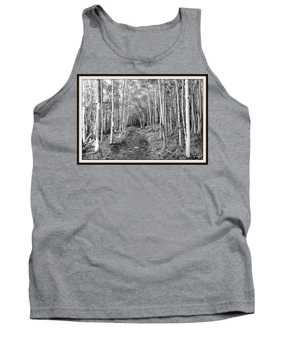 Aspen Tank Top featuring the photograph Aspen Forest #1 by Farol Tomson