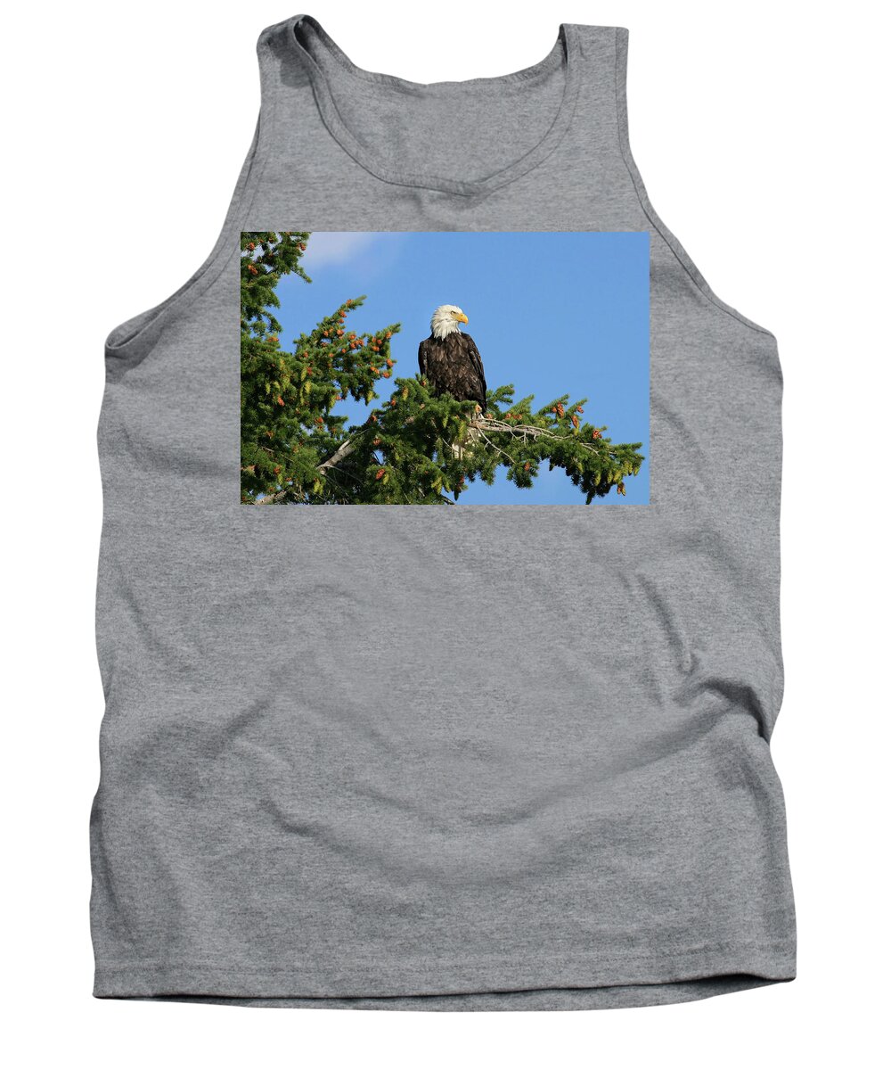 Bald Tank Top featuring the photograph Bald Eagle #1 by Ronnie And Frances Howard