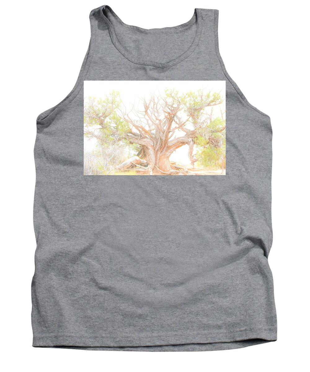 Arches National Park Tank Top featuring the photograph Been Around by Merle Grenz