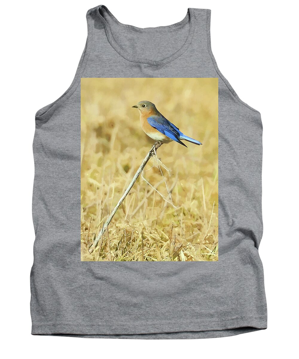 Bluebird Tank Top featuring the photograph Bluebird in February by William Jobes