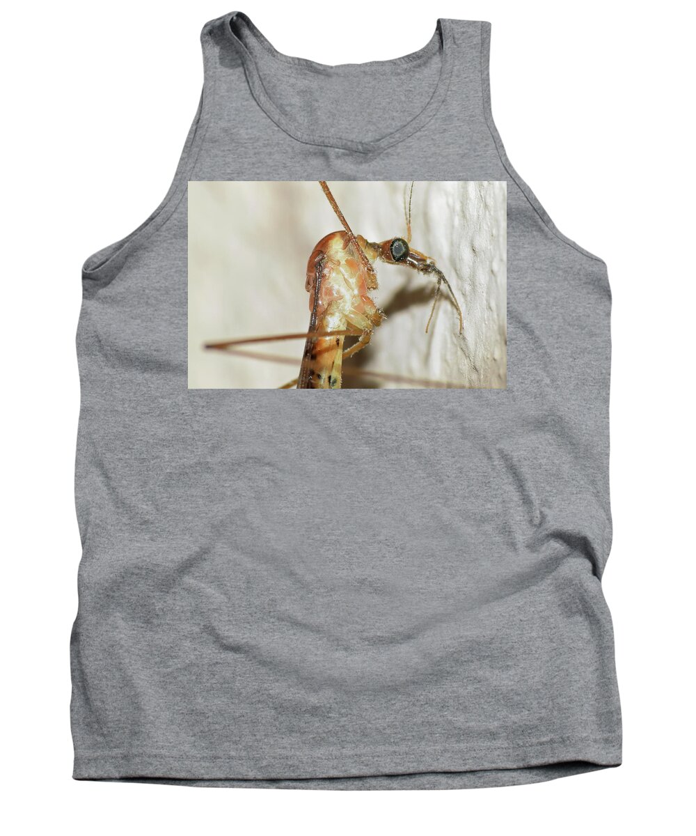 Photograph Tank Top featuring the photograph Crane Fly #1 by Larah McElroy
