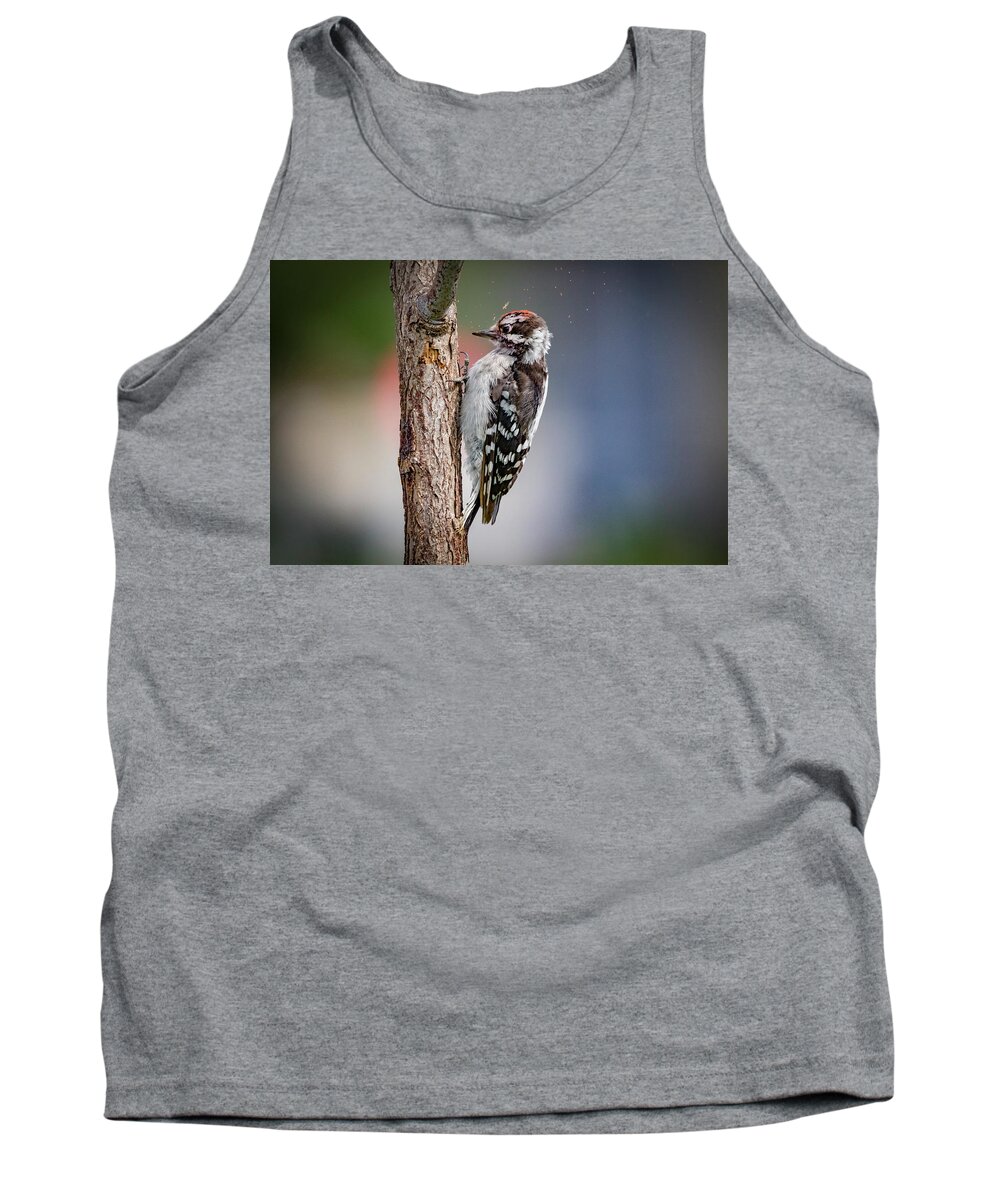 Picoides Pubescens Tank Top featuring the photograph Downy Woodpecker #1 by Ray Congrove