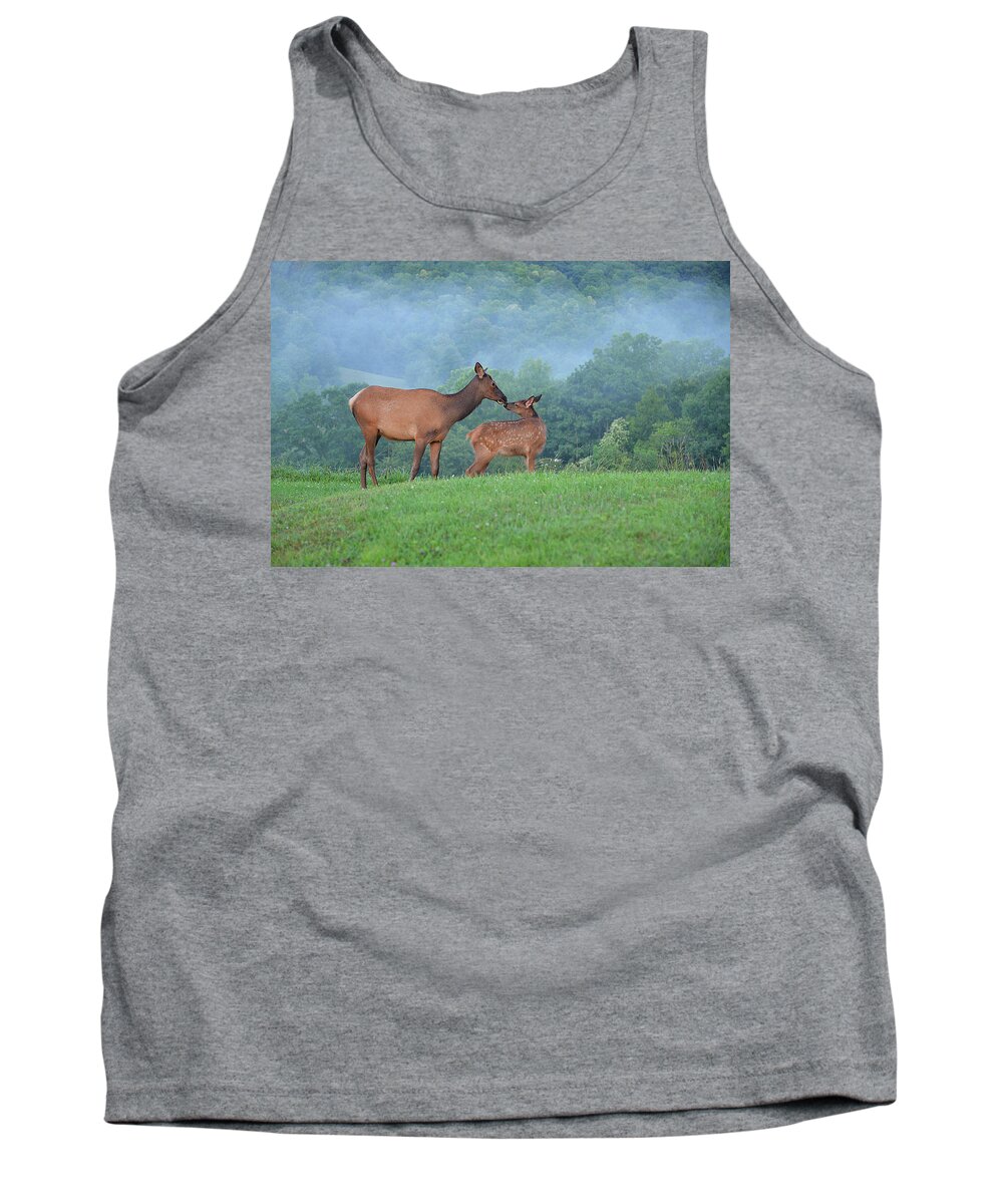 Mammals Tank Top featuring the photograph Elk Getting to Knows One Another #1 by Alan Lenk