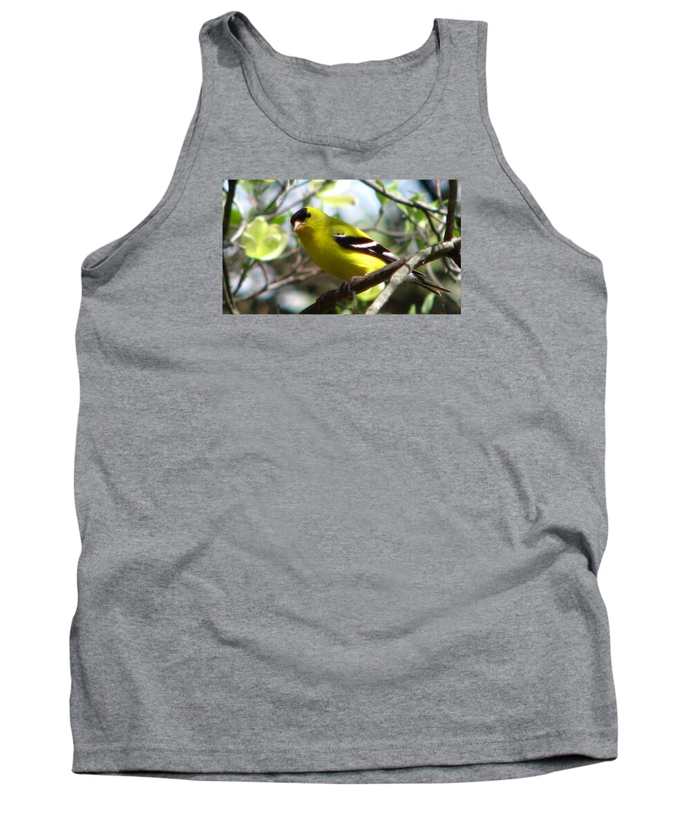 Goldfinch Tank Top featuring the photograph Goldfinch Spring #1 by Angela Davies