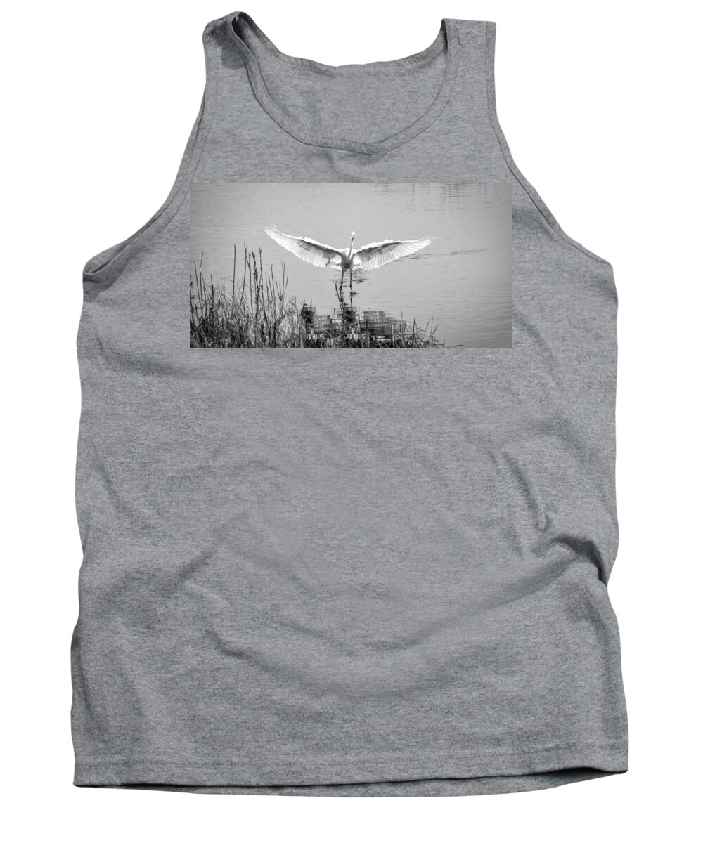 Bird Tank Top featuring the photograph Great White Egret #2 by David Kay