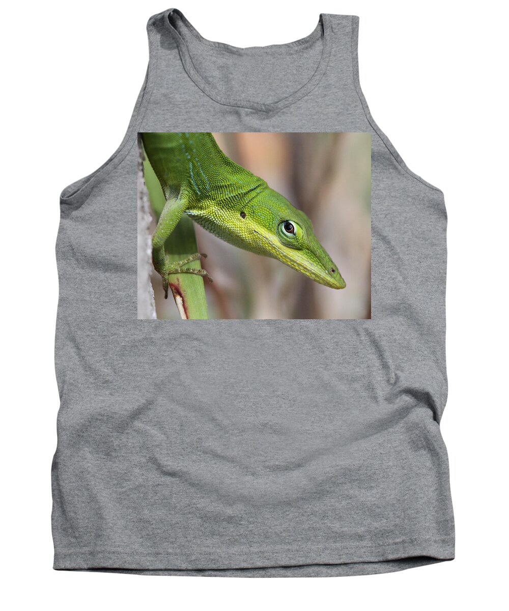 Green Anole Tank Top featuring the photograph Green Beauty #1 by Doris Potter