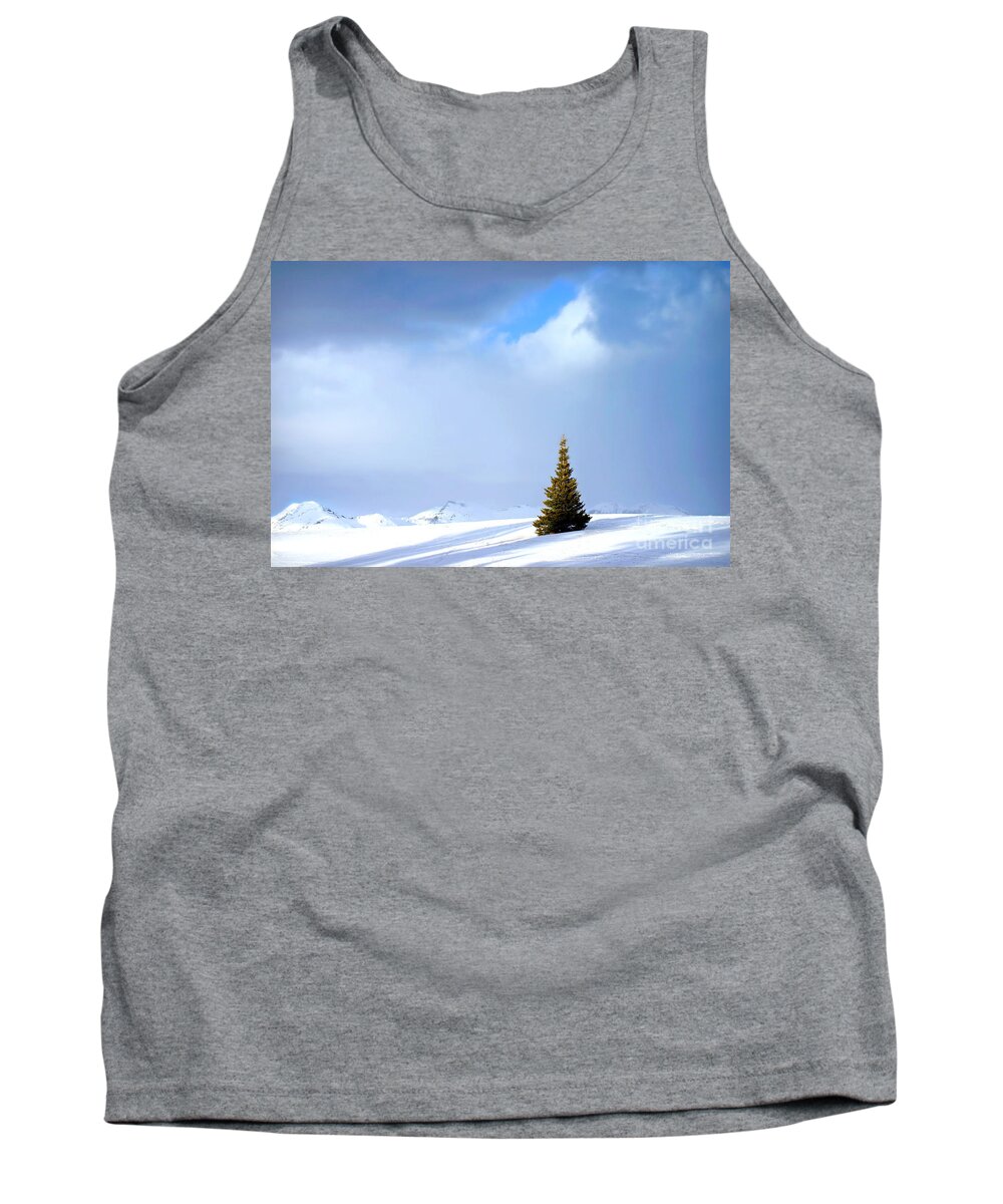 Tree Tank Top featuring the photograph Lonesome Pine #1 by Beth Ferris Sale