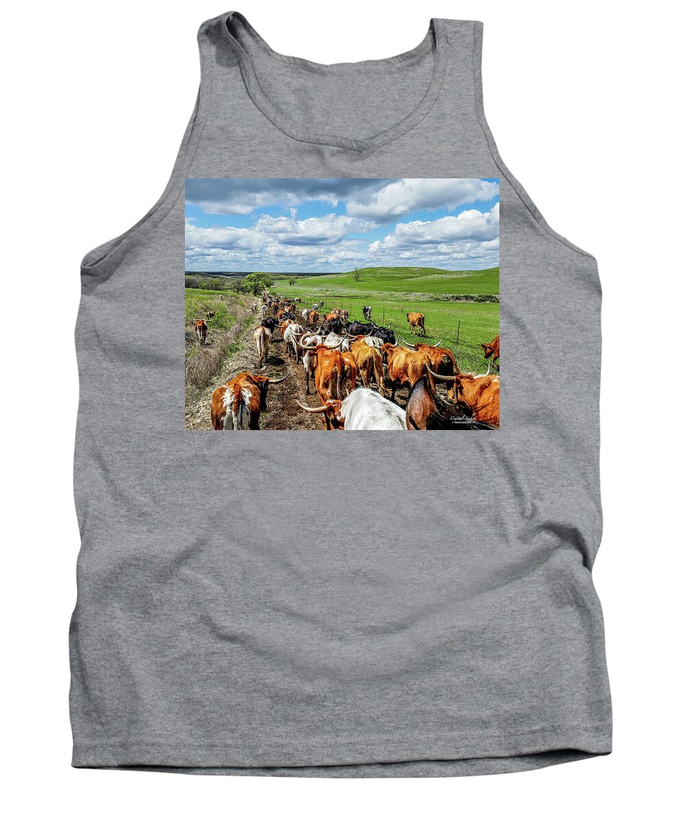 Longhorn Cattle Tank Top featuring the photograph Long Road Ahead #1 by Crystal Socha