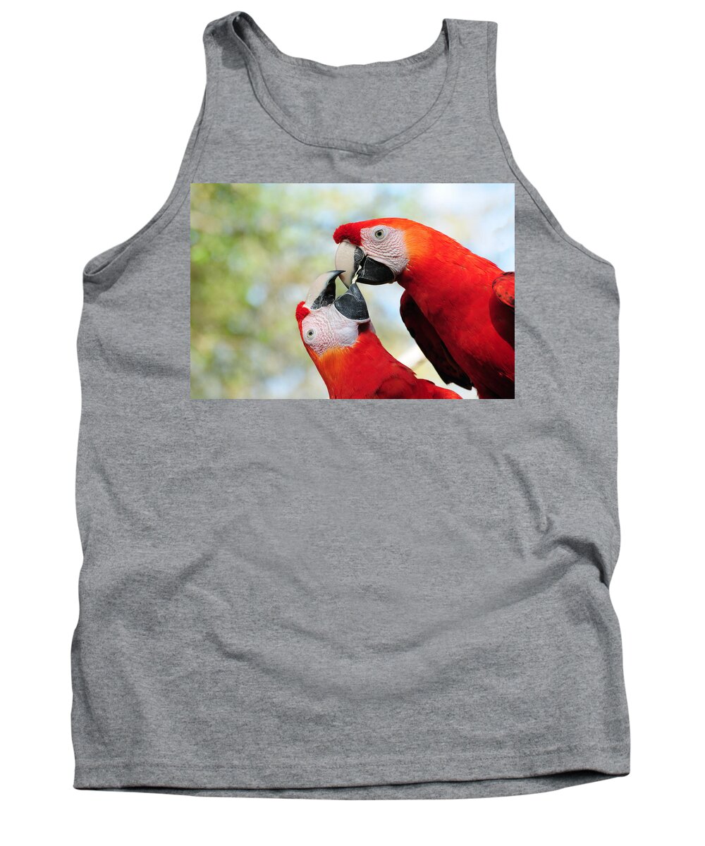Bird Tank Top featuring the photograph Macaws by Steven Sparks