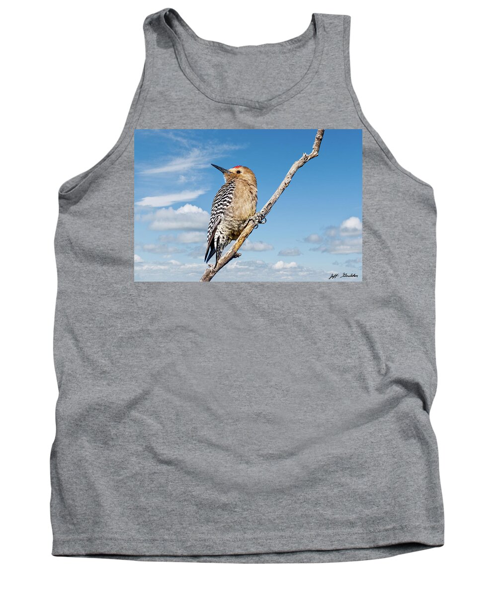 Animal Tank Top featuring the photograph Male Gila Woodpecker #2 by Jeff Goulden