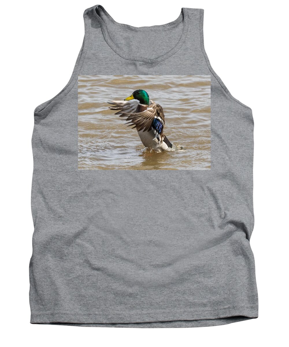 Male Tank Top featuring the photograph Male Mallard by Holden The Moment