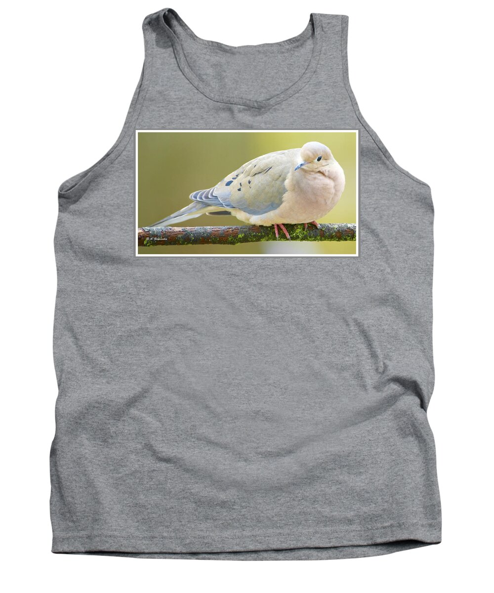 Taxonmy Tank Top featuring the photograph Mourning Dove on Tree Branch #1 by A Macarthur Gurmankin