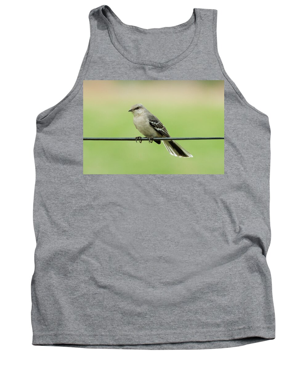Bird Tank Top featuring the photograph Northern Mockingbird by Holden The Moment