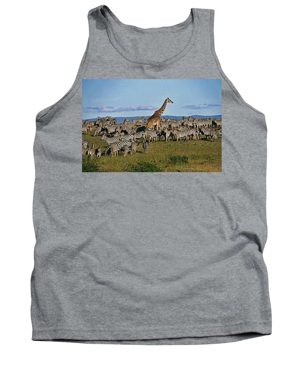 Africa Tank Top featuring the photograph Odd Man Out #1 by Michele Burgess