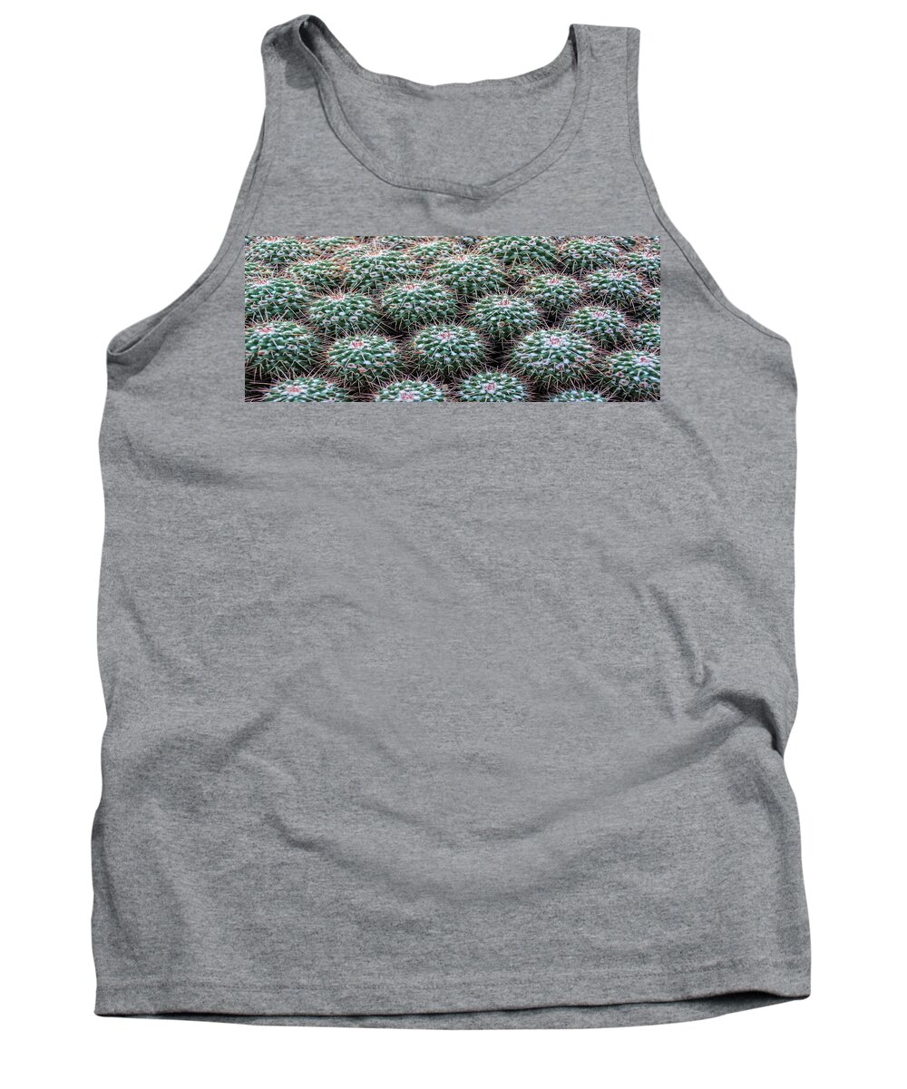 Plant Tank Top featuring the photograph Pincushion Cactus #2 by Pat Cook