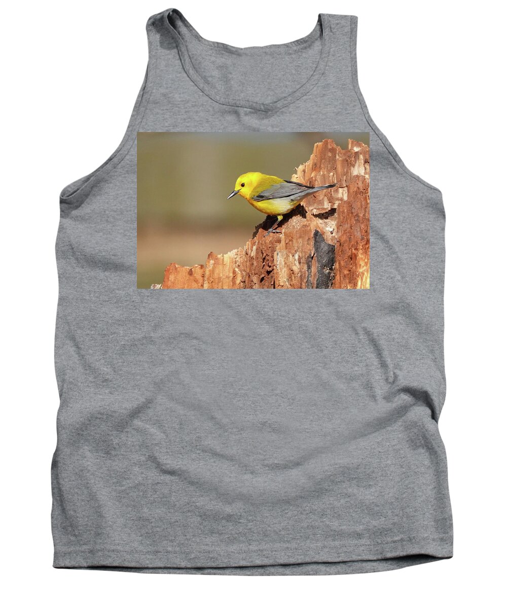 Songbird Tank Top featuring the photograph Prothonotary Warbler #1 by Jack Nevitt