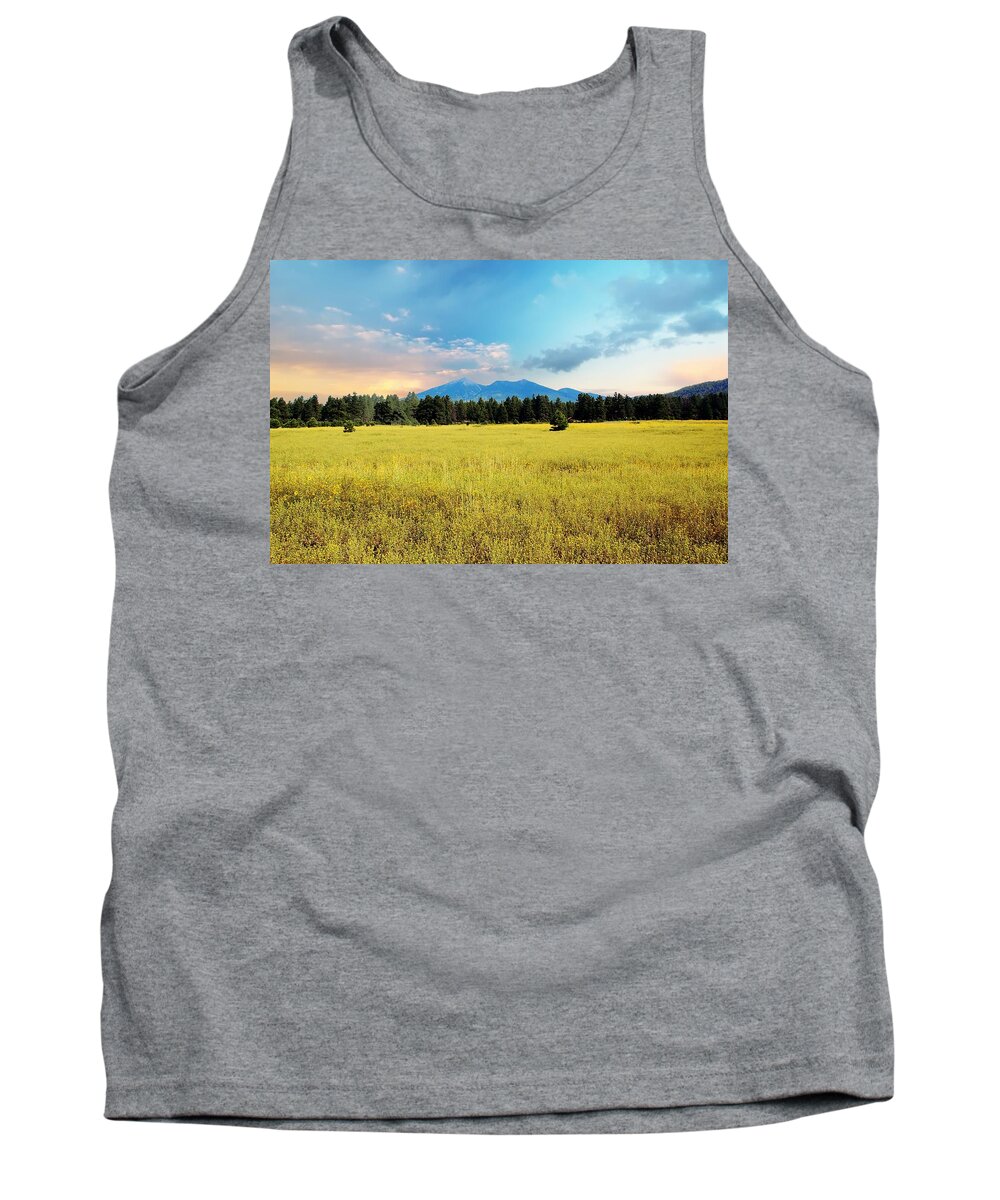 San Francisco Peaks Tank Top featuring the photograph San Francisco Peaks #2 by Kelly Wade