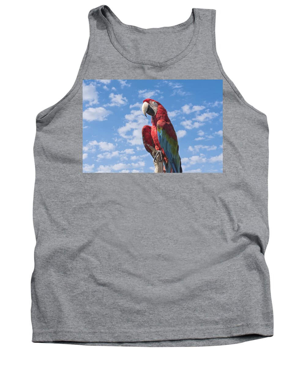 Macaw Tank Top featuring the photograph Scarlet Macaw #2 by Kim Hojnacki