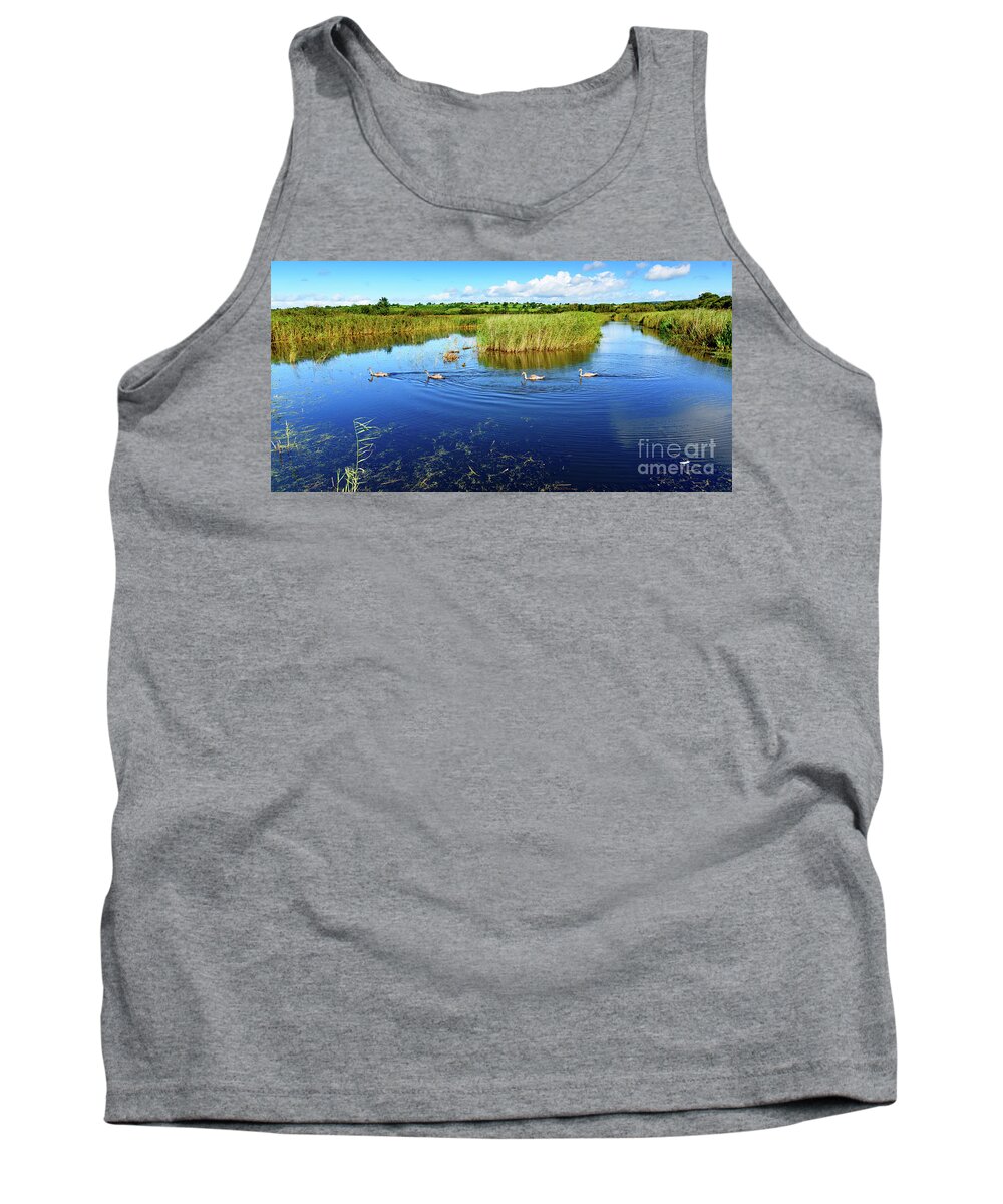 Landscape Tank Top featuring the photograph Somerset Levels #2 by Colin Rayner