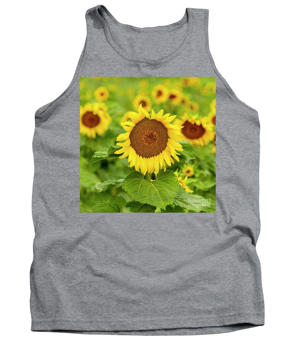 Sunflower Tank Top featuring the photograph Sunflower #1 by Ronda Kimbrow