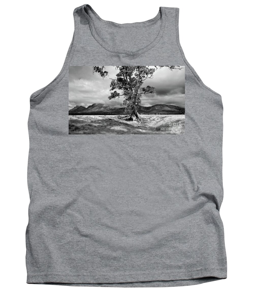 The Cazneaux Tree Flinderss Ranges South Australia Australia Landscape Landscapes Outback Gum Wilpena Pound Bw B&w Black And White Tank Top featuring the photograph The Cazneaux Tree #1 by Bill Robinson
