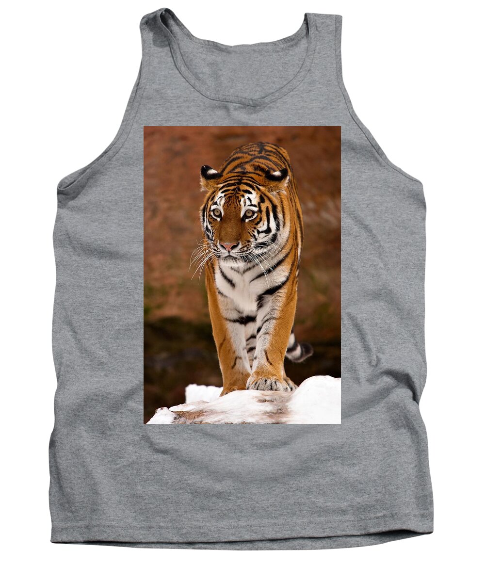 Tiger Tank Top featuring the photograph Tiger #1 by Jackie Russo