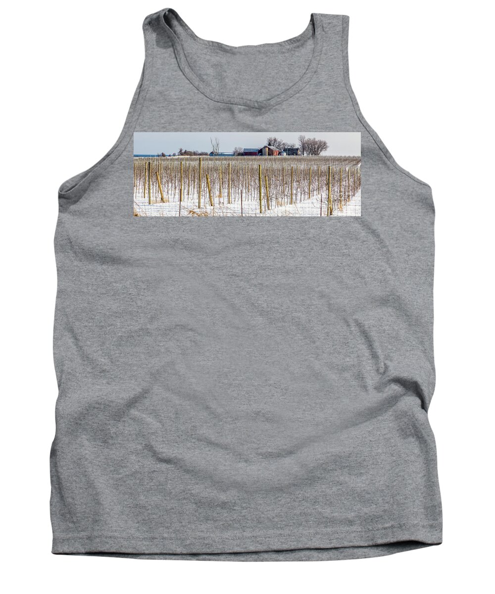 Grapevines Tank Top featuring the photograph Vinyard on Down Road #1 by Roger Monahan