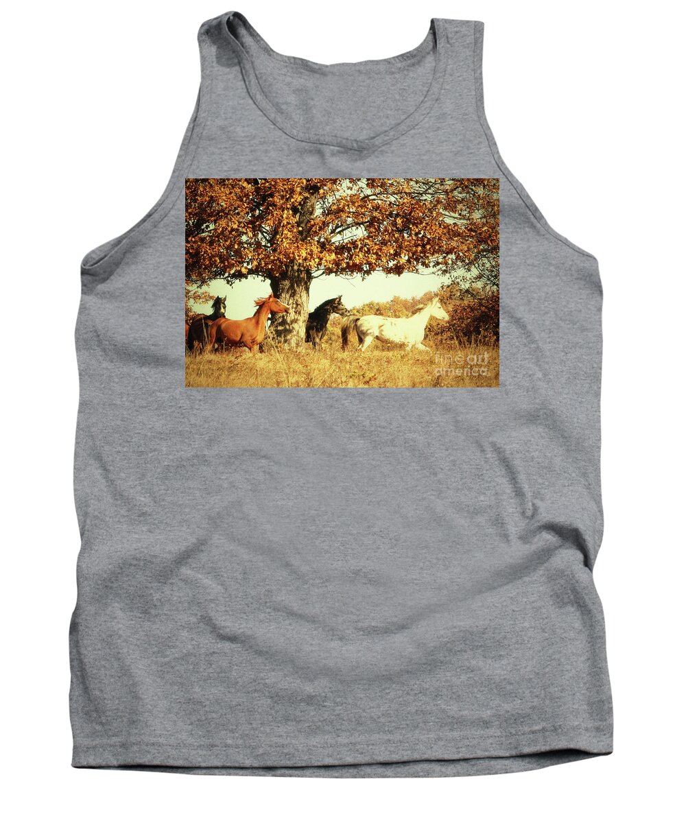 Horse Tank Top featuring the photograph Wild horses #1 by Dimitar Hristov