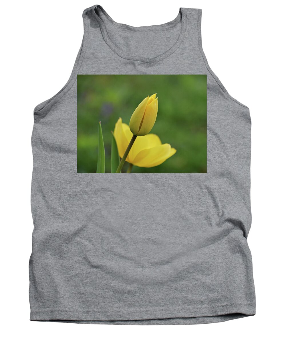 Tulips Tank Top featuring the photograph Yellow Tulips #1 by Sandy Keeton