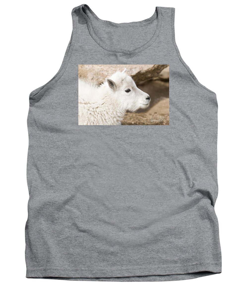 Goat Tank Top featuring the photograph Baby Mountain Goats on Mount Evans #15 by Steven Krull