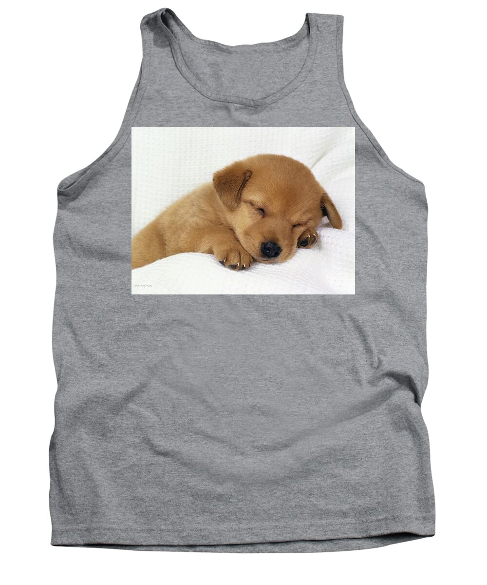 Puppy Tank Top featuring the photograph Puppy #15 by Mariel Mcmeeking