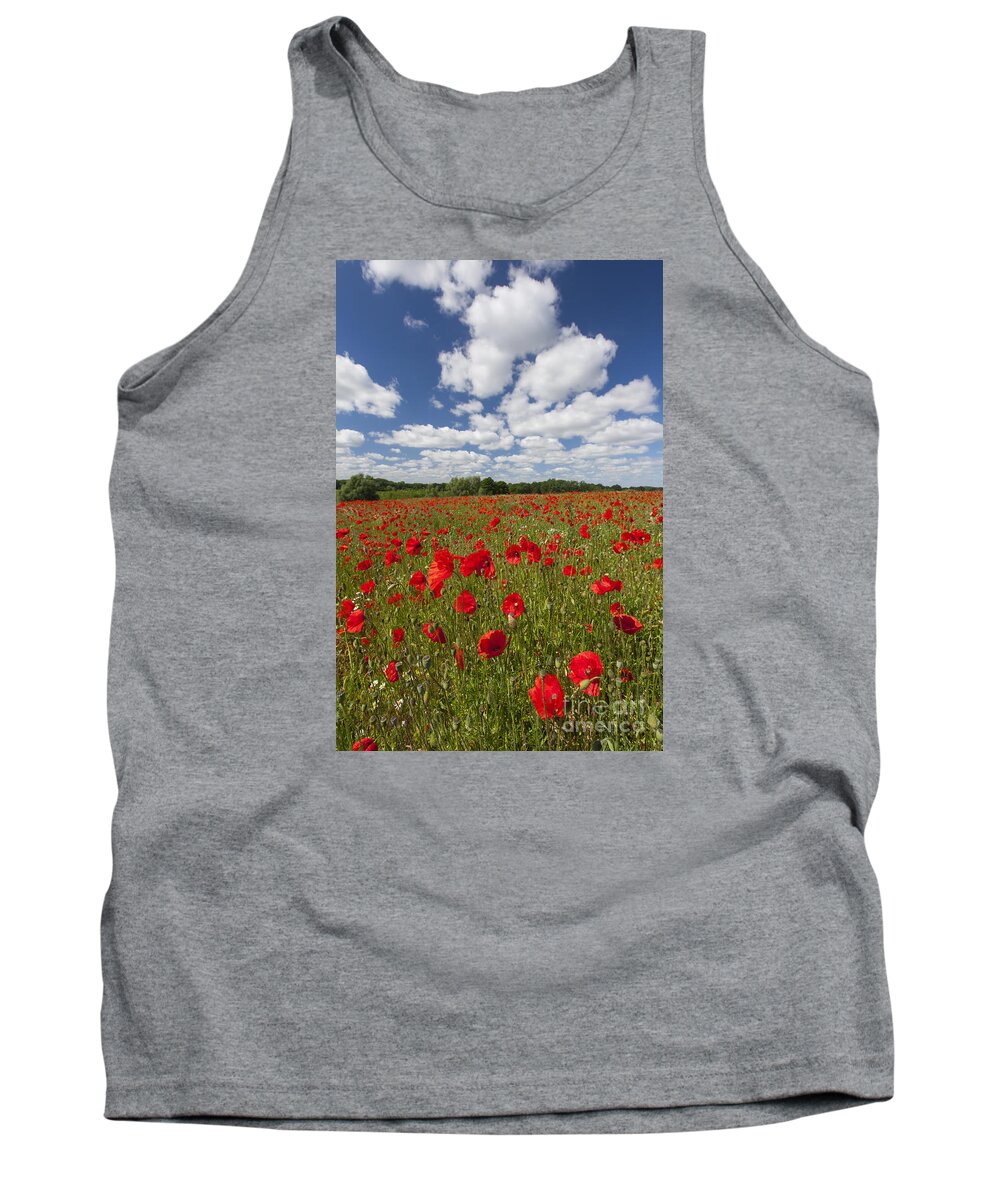 Common Poppy Tank Top featuring the photograph 151124p076 by Arterra Picture Library
