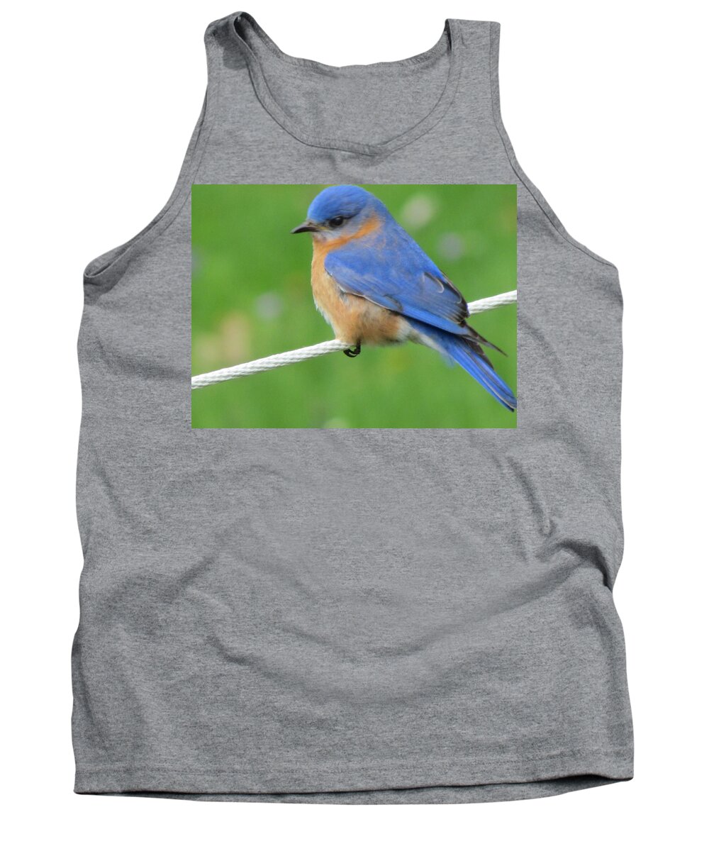 Bluebird On Clothes Line Tank Top featuring the painting Blue Bird #2 by Betty Pieper