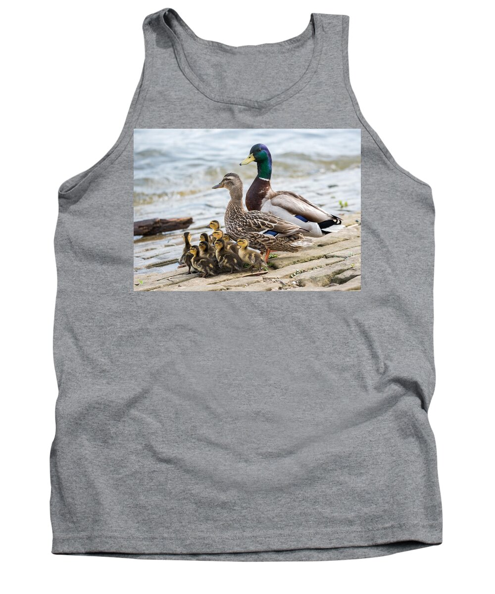 Mallard Tank Top featuring the photograph Mallard Family by Holden The Moment