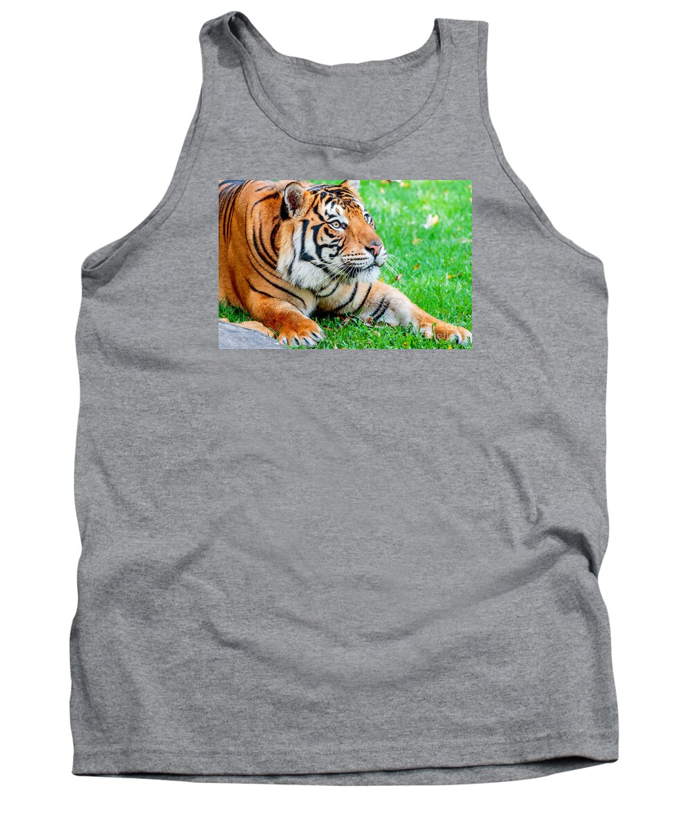 Animal Tank Top featuring the photograph Pre-pounce Tiger #2 by Ray Shiu