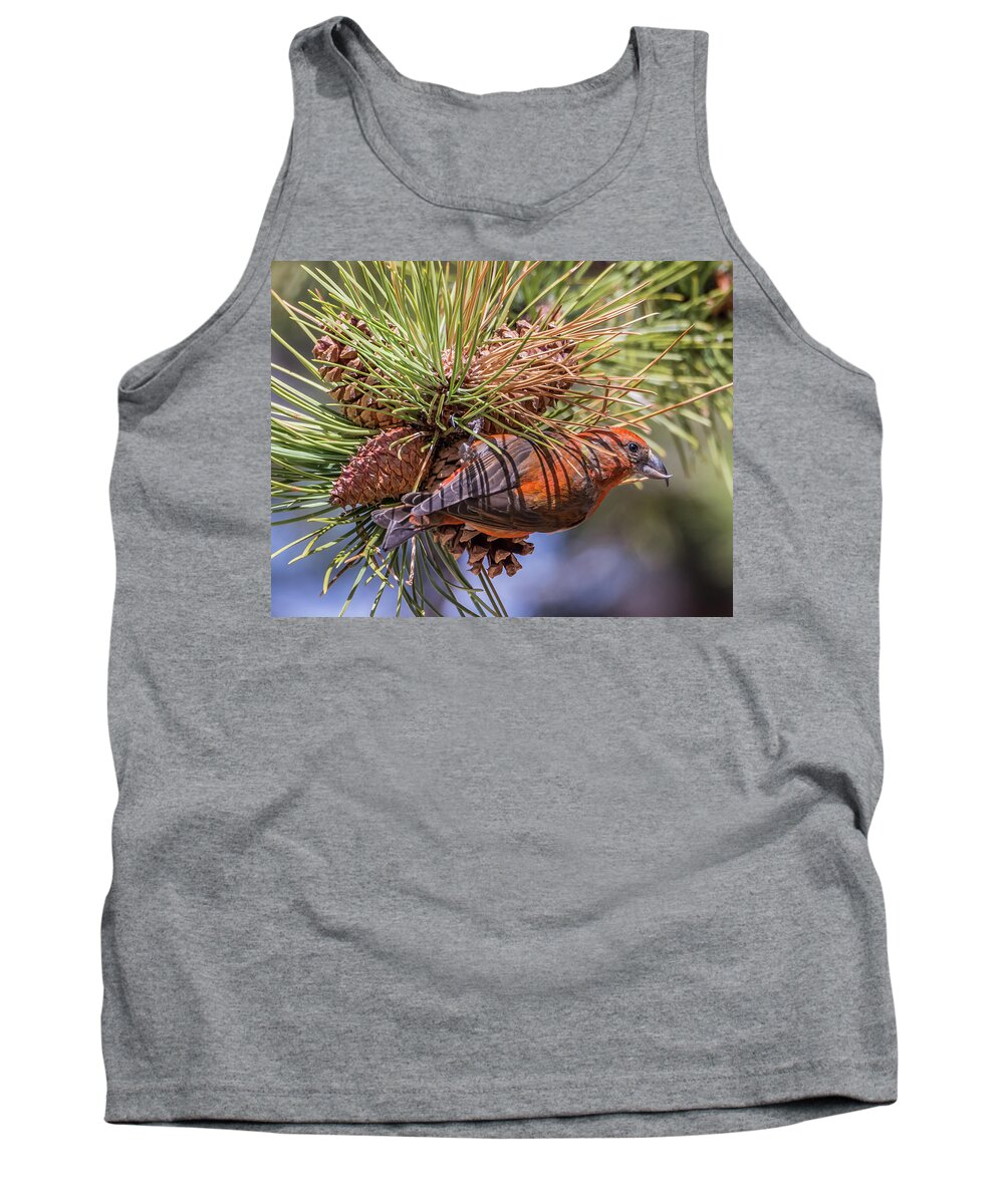 Nature Tank Top featuring the photograph Red Crossbill #2 by Michael Cunningham