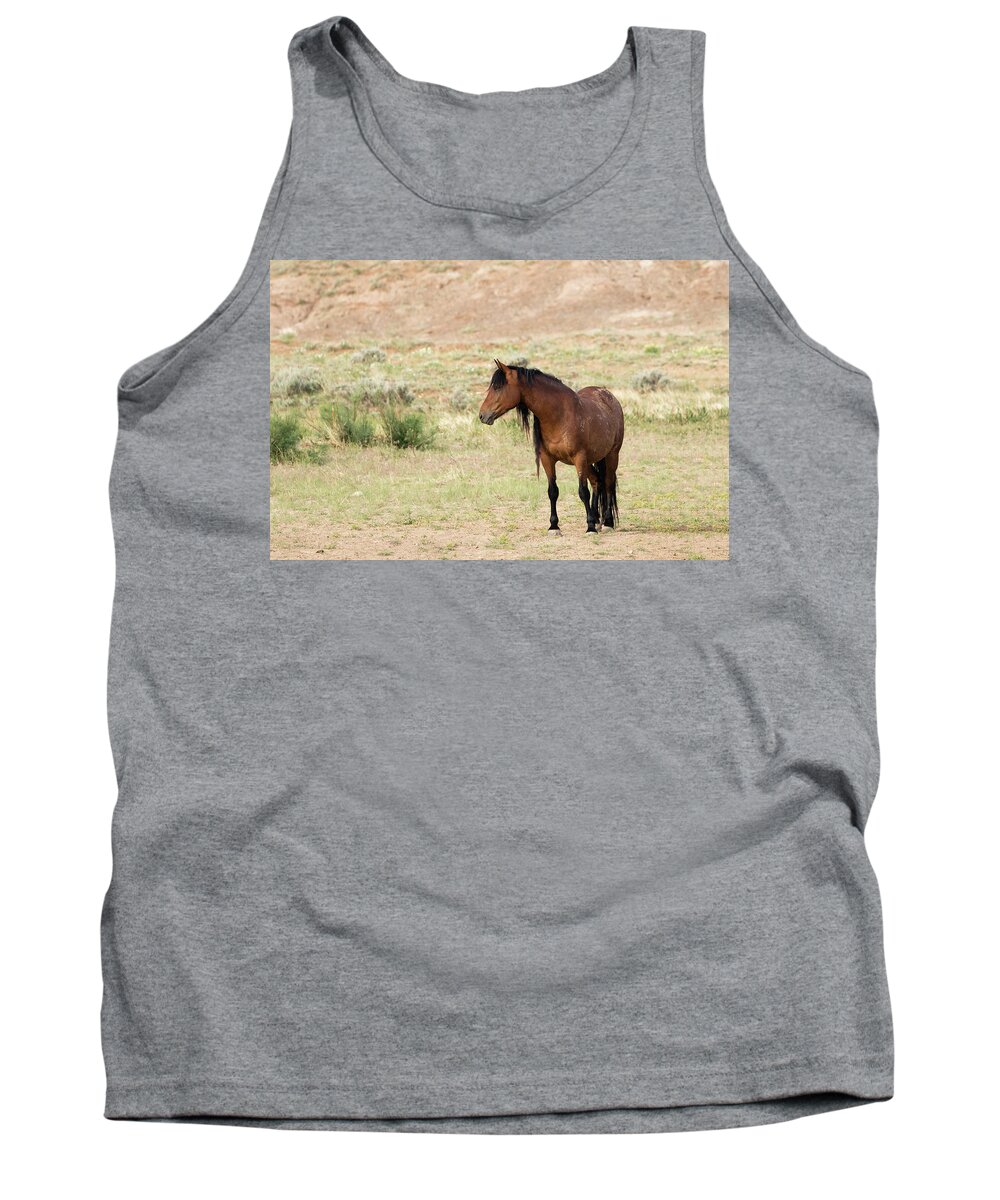 Mustang Tank Top featuring the photograph Wild Mustang #2 by Ronnie And Frances Howard