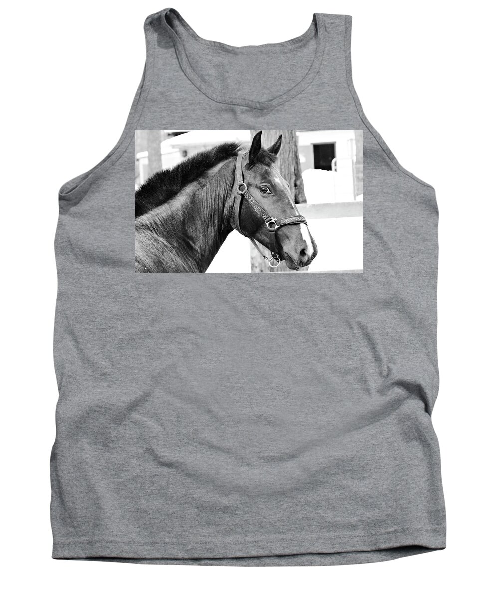 Horse Tank Top featuring the photograph Horse #36 by Mariel Mcmeeking