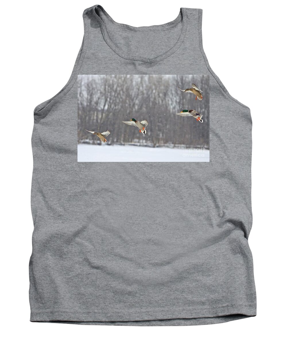 Ducks Tank Top featuring the photograph 4 In A Row by Robert Pearson