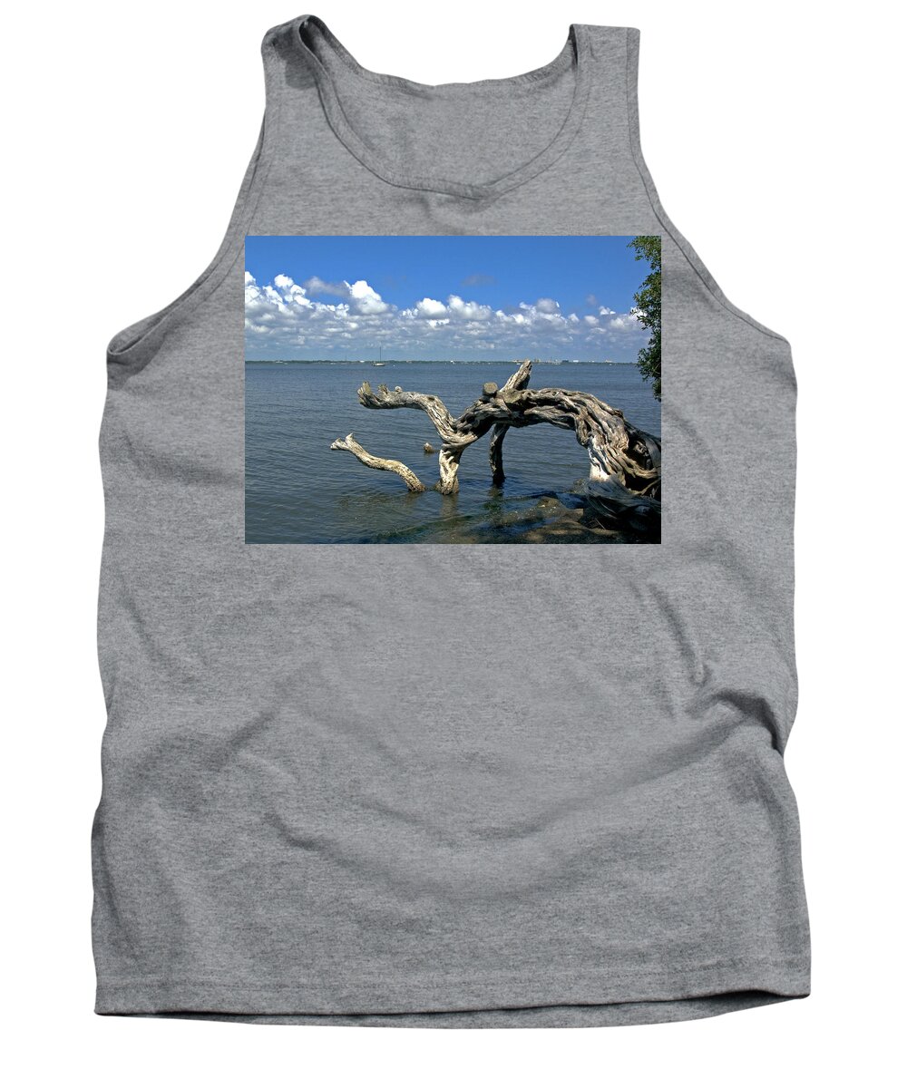 Riverfront Tank Top featuring the photograph Indian River Lagoon #8 by Allan Hughes