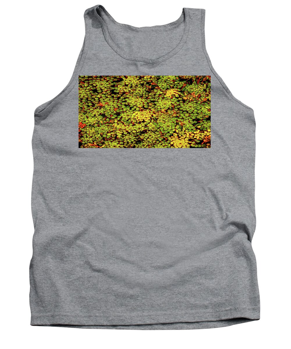 Nature Tank Top featuring the photograph A Botanical Mosaic by Robert Mitchell