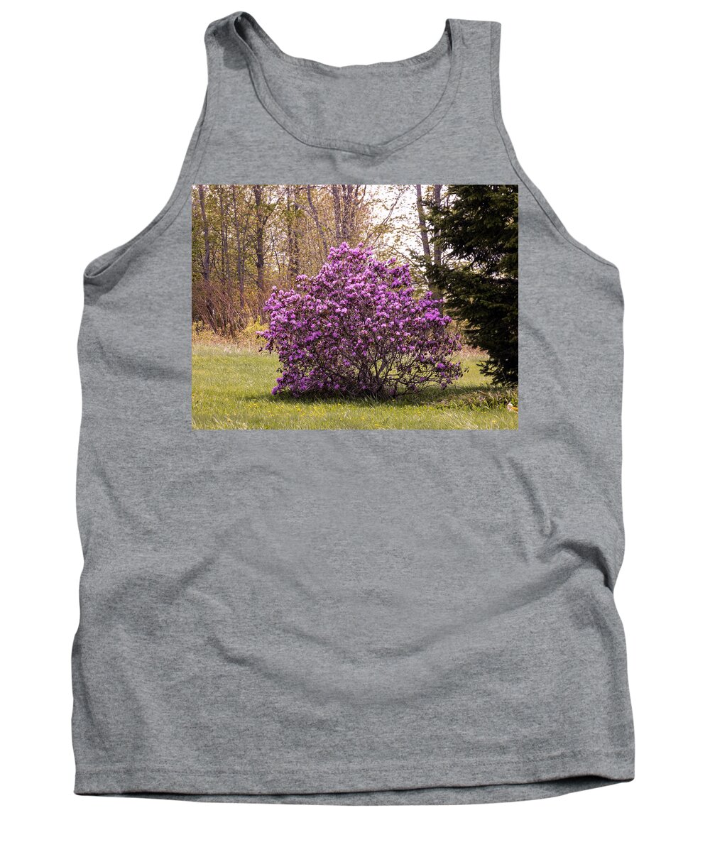 Flowers Tank Top featuring the photograph A Bush of Beauty by William Tasker