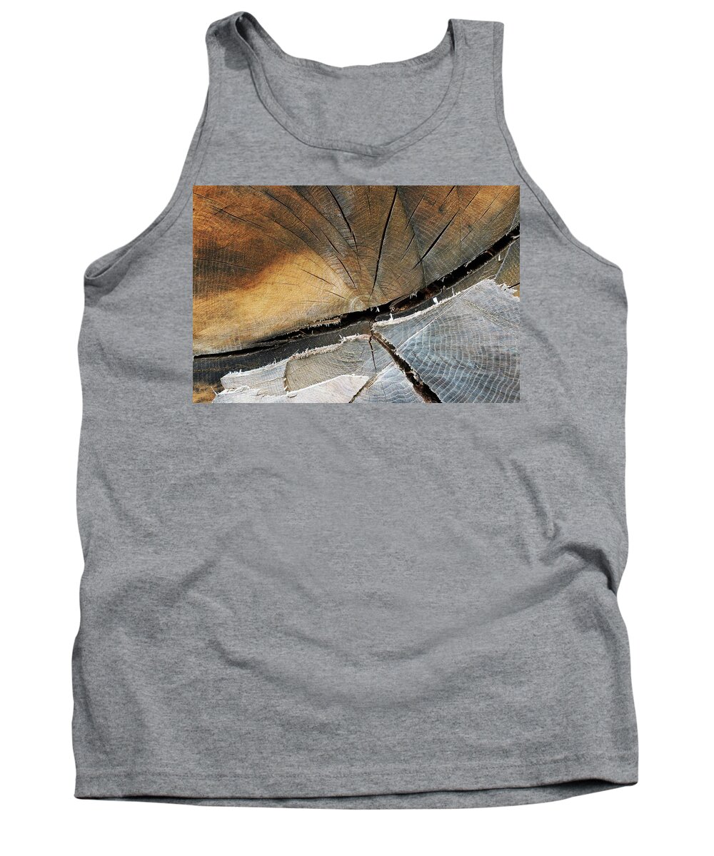 12.28.16_a Tank Top featuring the photograph A Dead Tree by Dorin Adrian Berbier