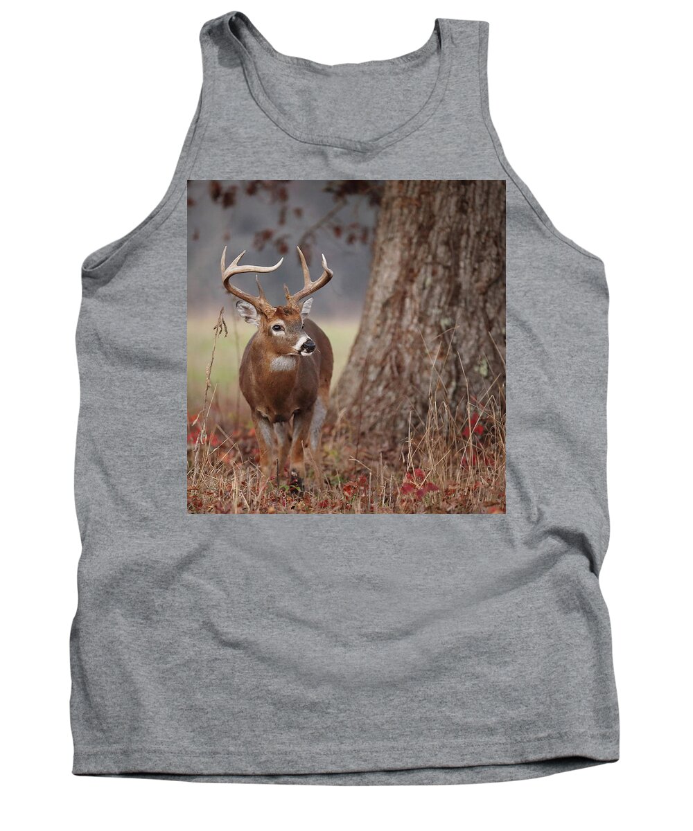 Deer Tank Top featuring the photograph A Handsome Buck by Duane Cross